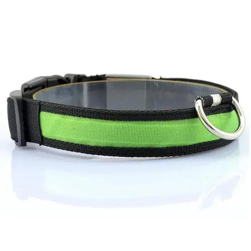 Collar LED para perro con tira de luz para iluminación