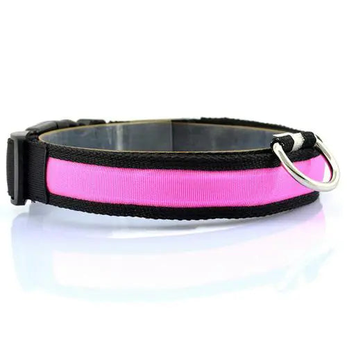 Collar LED para perro con tira de luz para iluminación