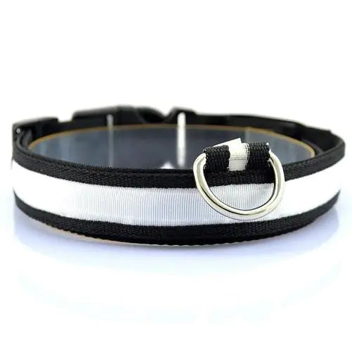 Collar LED para perro con tira de luz para iluminación