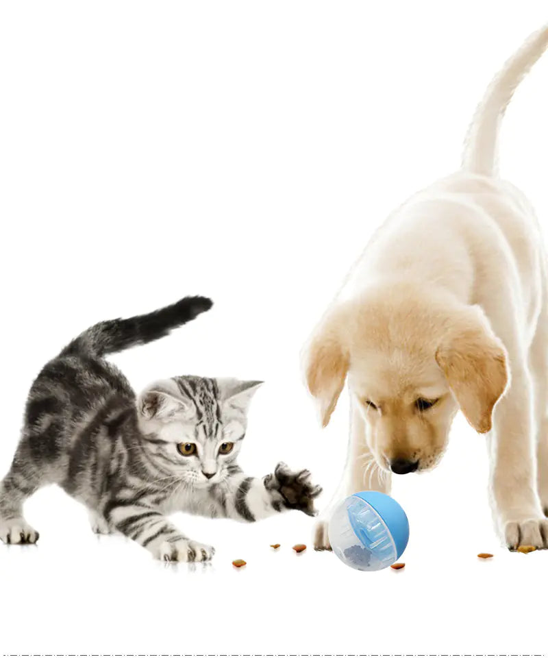 Juguete de bola autocurativo para perros y gatos sin fuga de comida