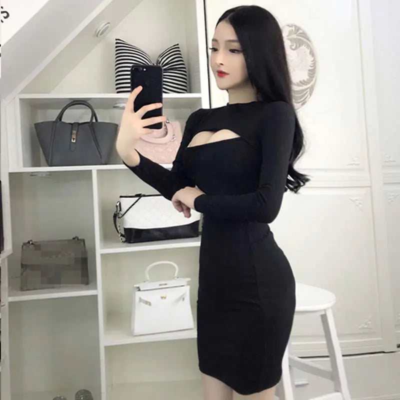 Korean Style Sexy Long Sleeve Bodycon Dress