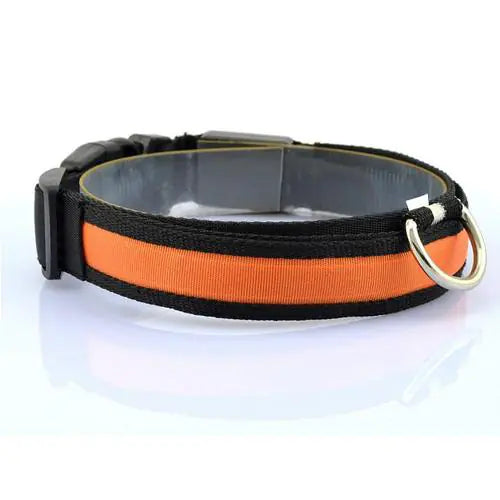 Collar LED para perro con tira de luz para iluminación