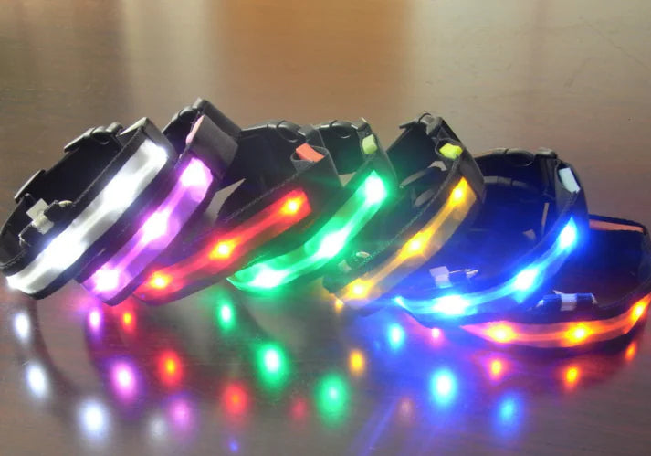 Collar LED para perro con tira de luz para iluminación