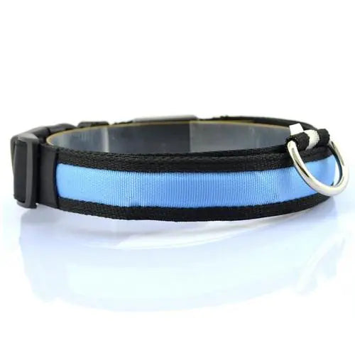 Collar LED para perro con tira de luz para iluminación