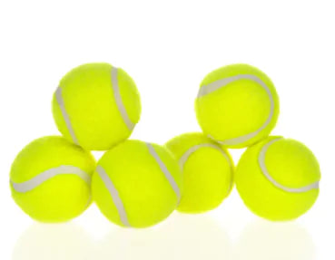 Lanzador automático de pelotas para perros