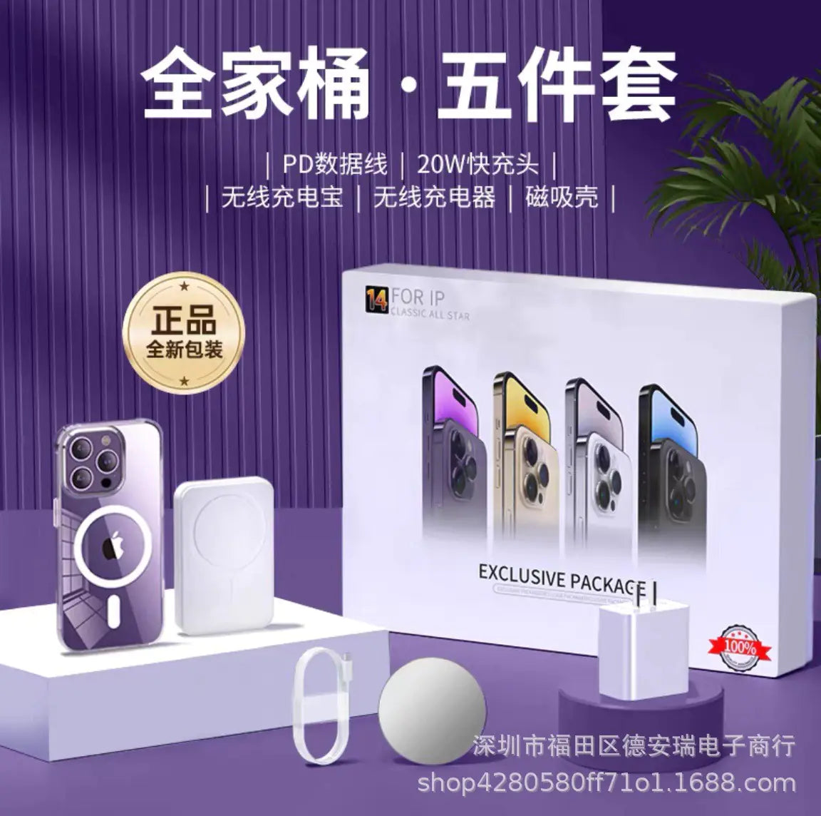 35W Dual C Fast Charger Accessories Set for iPhone