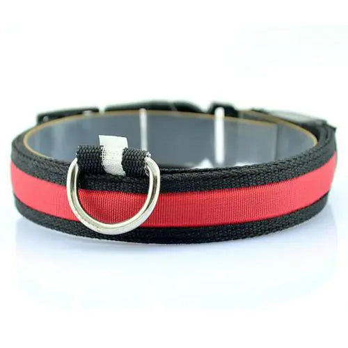 Collar LED para perro con tira de luz para iluminación